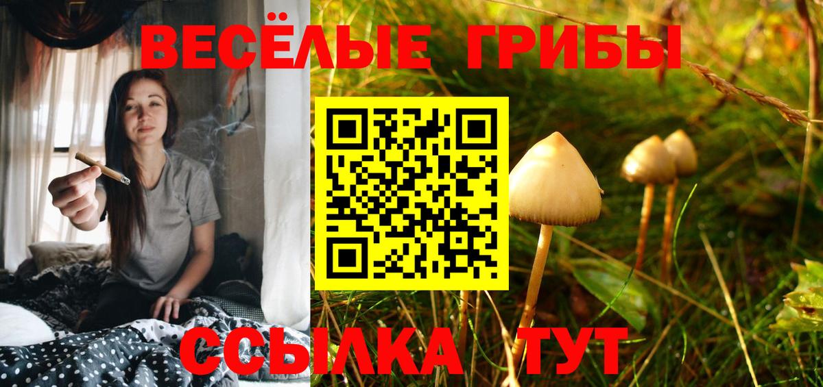 Ессентуки  купить наркоту  Вход с VPN  Псилоцибиновые грибы Psilocybe  Псилоцибиновые грибы Cubensis 